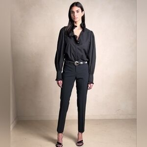 Banana Republic Ryan Wool Blend Pants Size 4